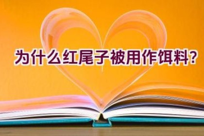 为什么红尾子被用作饵料？