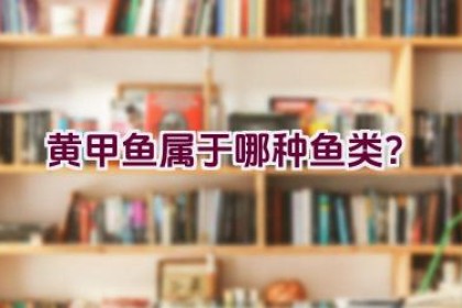 黄甲鱼属于哪种鱼类？
