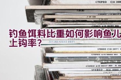 钓鱼饵料比重如何影响鱼儿上钩率？