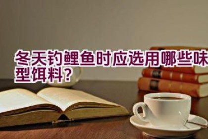 冬天钓鲤鱼时应选用哪些味型饵料？