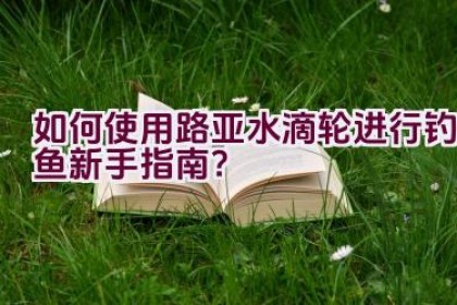 如何使用路亚水滴轮进行钓鱼新手指南？