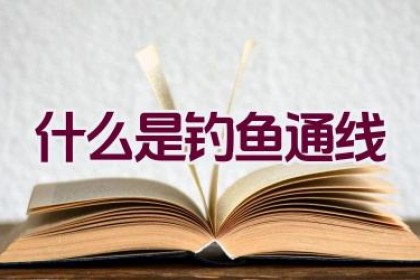 “什么是钓鱼通线”