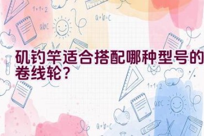 矶钓竿适合搭配哪种型号的卷线轮？