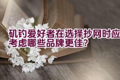 矶钓爱好者在选择抄网时应考虑哪些品牌更佳？