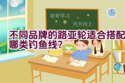 不同品牌的路亚轮适合搭配哪类钓鱼线？