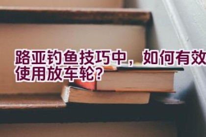 路亚钓鱼技巧中，如何有效使用放车轮？