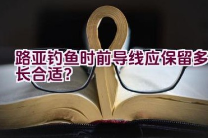 路亚钓鱼时前导线应保留多长合适？