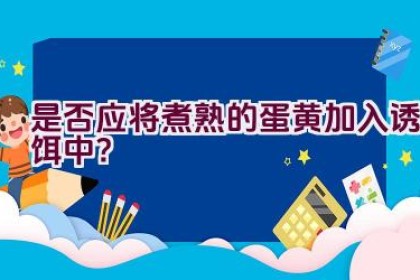 是否应将煮熟的蛋黄加入诱饵中？