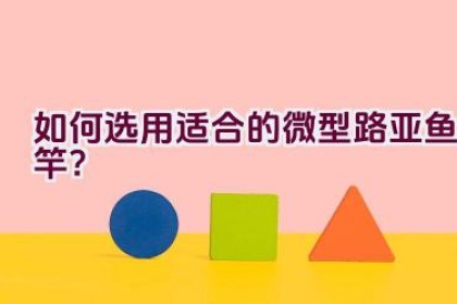 如何选用适合的微型路亚鱼竿？
