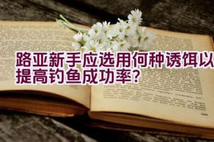 路亚新手应选用何种诱饵以提高钓鱼成功率？