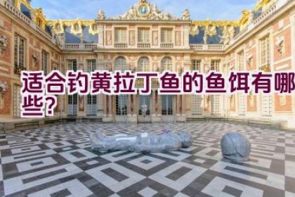 适合钓黄拉丁鱼的鱼饵有哪些？