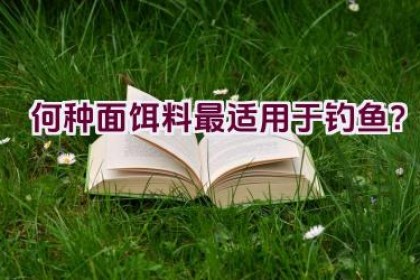 何种面饵料最适用于钓鱼？