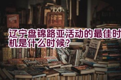 辽宁盘锦路亚活动的最佳时机是什么时候？