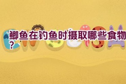 鲫鱼在钓鱼时摄取哪些食物？
