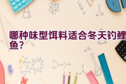 哪种味型饵料适合冬天钓鲤鱼？