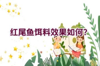 红尾鱼饵料效果如何？