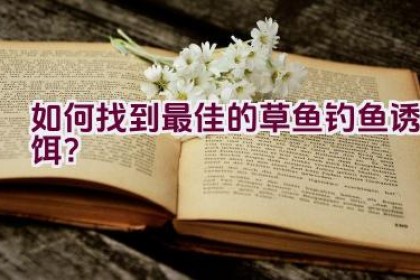 如何找到最佳的草鱼钓鱼诱饵？