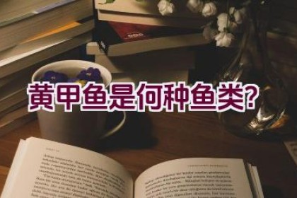 黄甲鱼是何种鱼类？