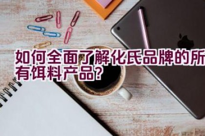 如何全面了解化氏品牌的所有饵料产品？