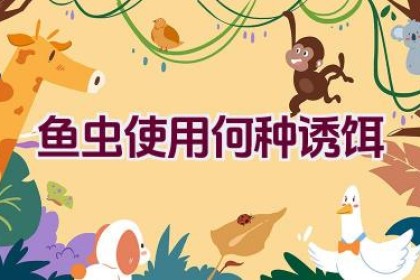 鱼虫使用何种诱饵