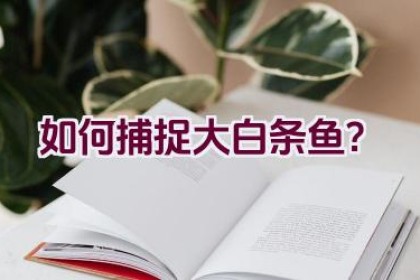 如何捕捉大白条鱼？