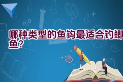 哪种类型的鱼钩最适合钓鲫鱼？