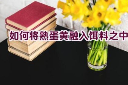 如何将熟蛋黄融入饵料之中