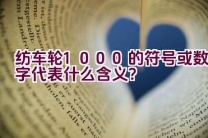 纺车轮1000的符号或数字代表什么含义？