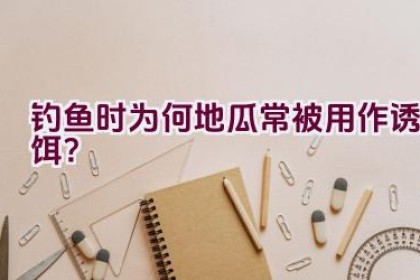 钓鱼时为何地瓜常被用作诱饵？