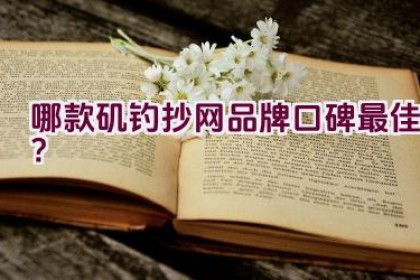哪款矶钓抄网品牌口碑最佳？