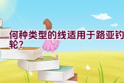 何种类型的线适用于路亚钓轮？