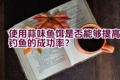 使用蒜味鱼饵是否能够提高钓鱼的成功率？