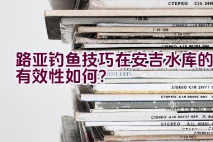 路亚钓鱼技巧在安吉水库的有效性如何？