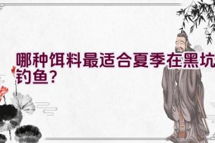 哪种饵料最适合夏季在黑坑钓鱼？