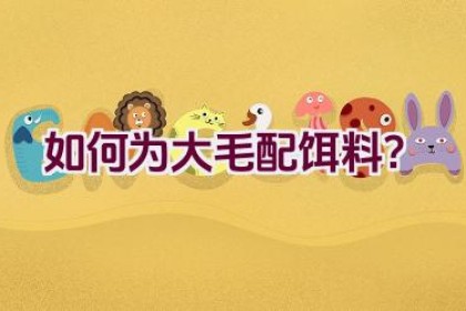 如何为大毛配饵料？