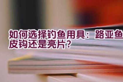 如何选择钓鱼用具：路亚鱼皮钩还是亮片？