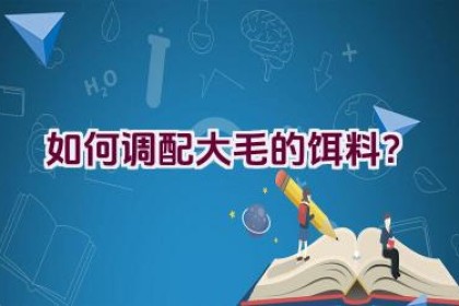 如何调配大毛的饵料？