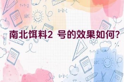 “南北饵料2号的效果如何？”