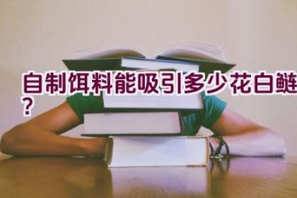 自制饵料能吸引多少花白鲢？
