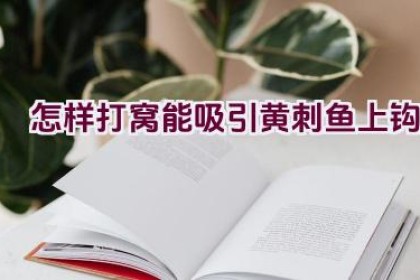 怎样打窝能吸引黄刺鱼上钩