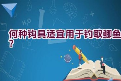 何种钩具适宜用于钓取鲫鱼？