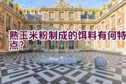 熟玉米粉制成的饵料有何特点？