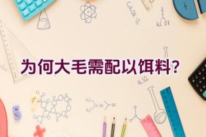 为何大毛需配以饵料？