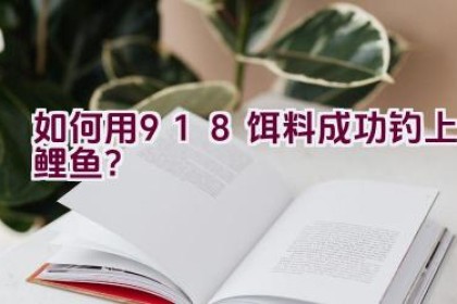 如何用918饵料成功钓上鲤鱼？