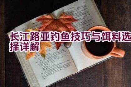 长江路亚钓鱼技巧与饵料选择详解