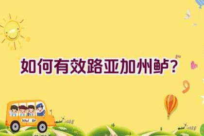 如何有效路亚加州鲈？