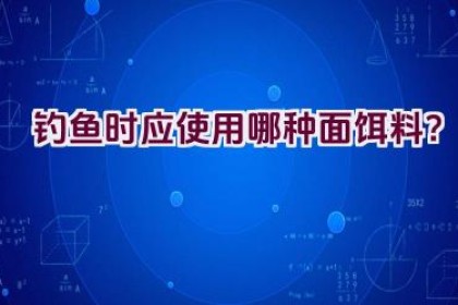 钓鱼时应使用哪种面饵料？