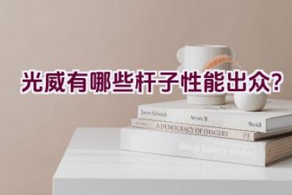 光威有哪些杆子性能出众？