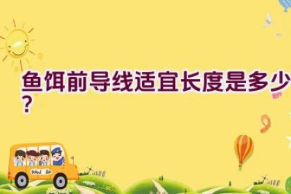 鱼饵前导线适宜长度是多少？