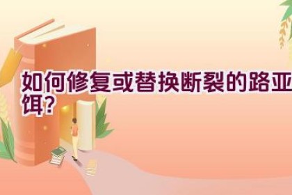 如何修复或替换断裂的路亚饵？